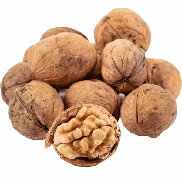 گردو پوست کاغذی