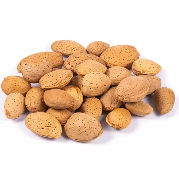 بادام سنگی