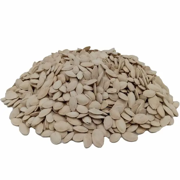 تخمه کدو گوشتی شور