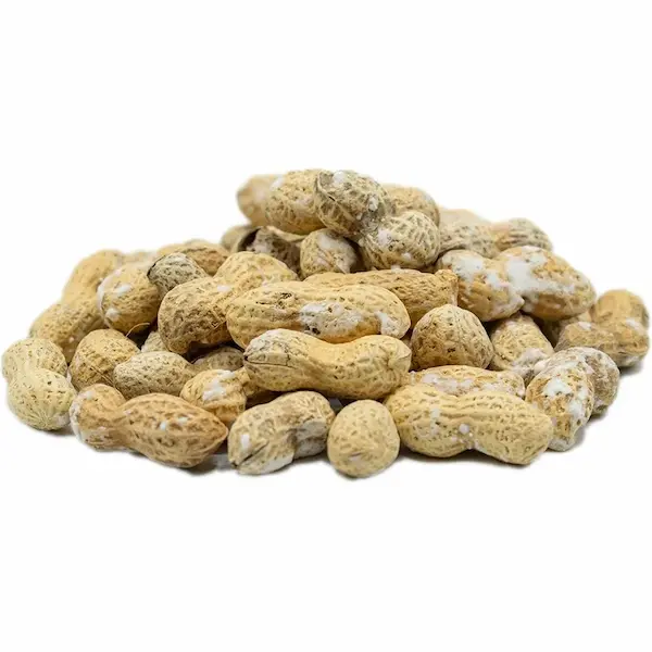 بادام زمینی برشته آستانه با پوست